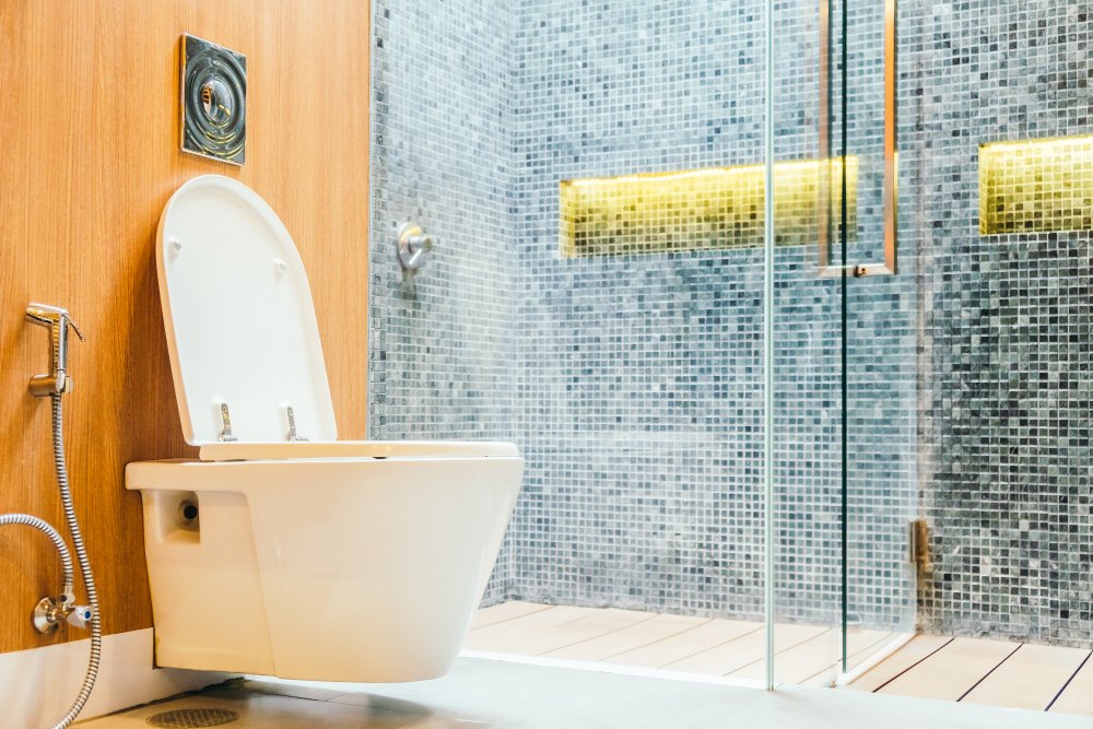 Smart Toilet